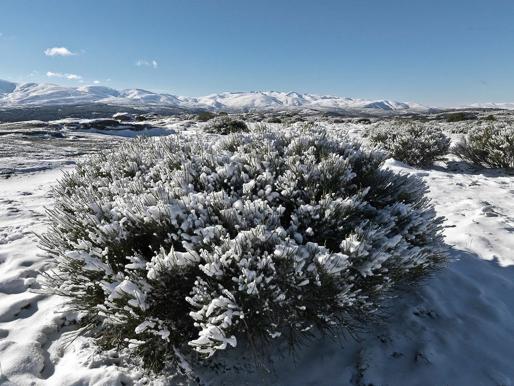 El Cerro - El Cerro I Villa Navarredonda de Gredos Dış mekan fotoğraf